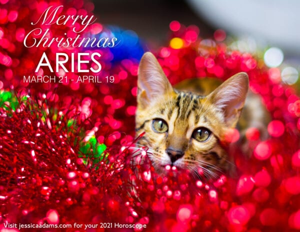 Aries Christmas 2020 Cat Animal Astrology Cards 600x464 - Animal Astrology Christmas eCards