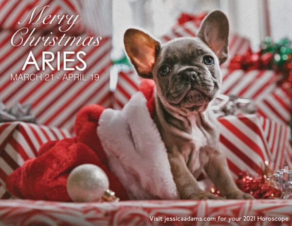 Aries Christmas 2020 Dog Animal Astrology Cards 600x464 - Animal Astrology Christmas eCards