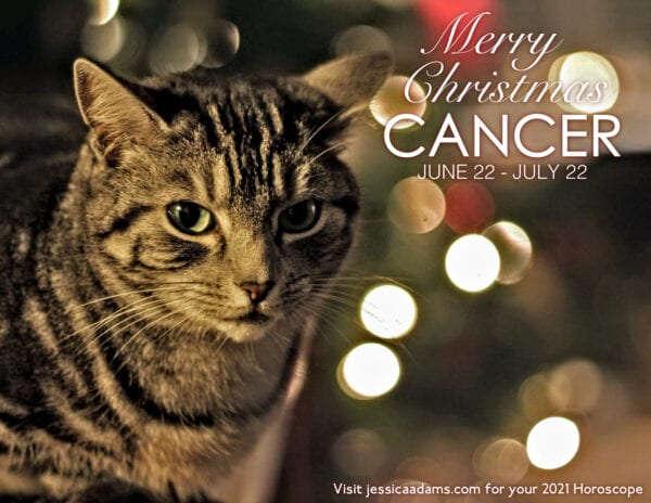 Cancer Christmas 2020 Cat Animal Astrology Cards 600x464 - Animal Astrology Christmas eCards