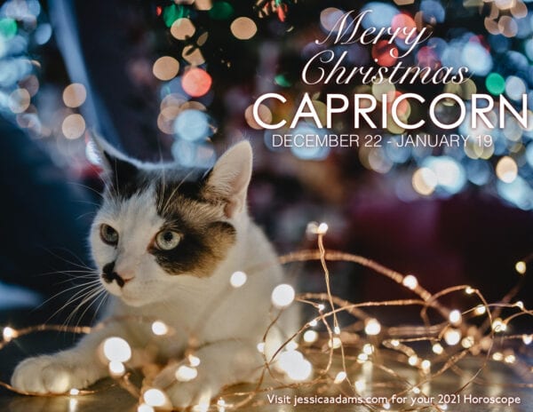 Capricorn Christmas 2020 Cat Animal Astrology Cards 600x464 - Animal Astrology Christmas eCards