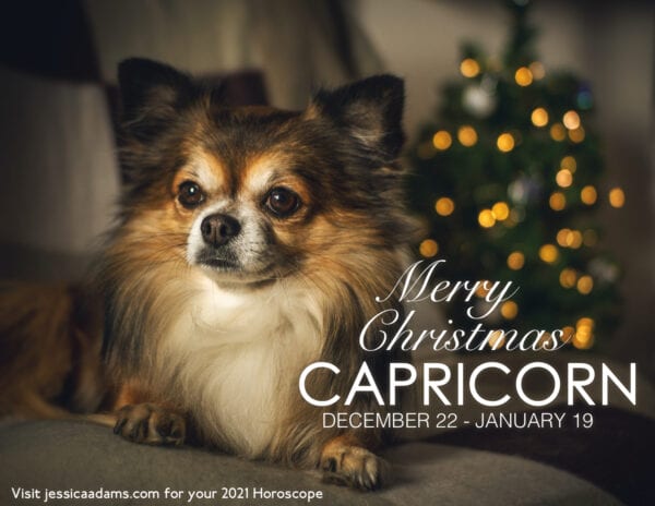 Capricorn Christmas 2020 Dog Animal Astrology Cards 600x464 - Animal Astrology Christmas eCards