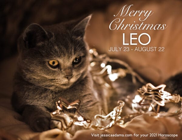 Leo Christmas 2020 Cat Animal Astrology Cards 600x464 - Animal Astrology Christmas eCards