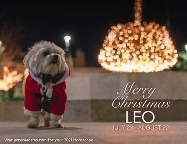 Leo Christmas 2020 Dog Animal Astrology Cards 600x464 - Animal Astrology Christmas eCards