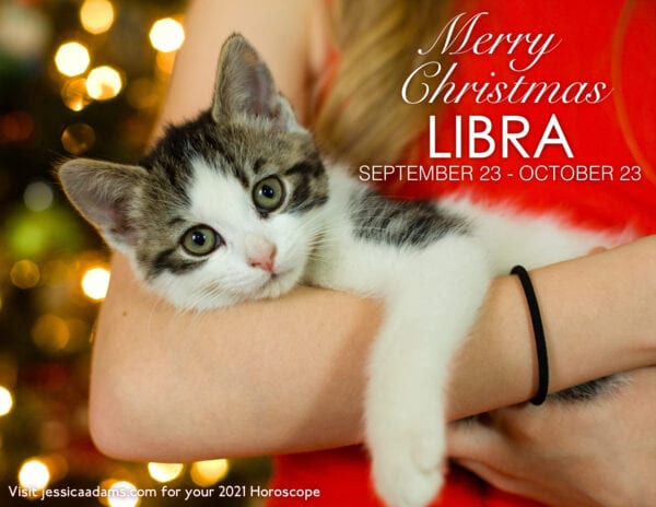 Libra Christmas 2020 Cat Animal Astrology Cards 600x464 - Animal Astrology Christmas eCards