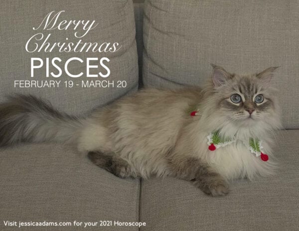 Pisces Christmas 2020 Cat Animal Astrology Cards 600x464 - Animal Astrology Christmas eCards