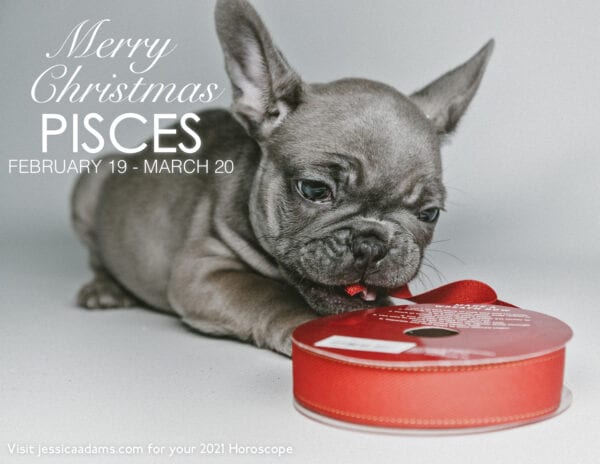 Pisces Christmas 2020 Dog Animal Astrology Cards 600x464 - Animal Astrology Christmas eCards