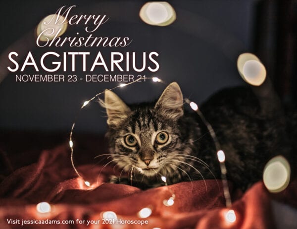 Sagittarius Christmas 2020 Cat Animal Astrology Cards 600x464 - Animal Astrology Christmas eCards