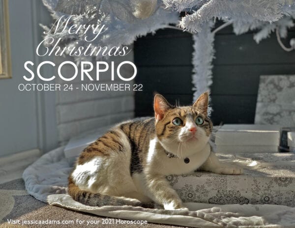 Scorpio Christmas 2020 Cat Animal Astrology Cards 600x464 - Animal Astrology Christmas eCards