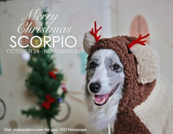 Scorpio Christmas 2020 Dog Animal Astrology Cards 600x464 - Animal Astrology Christmas eCards