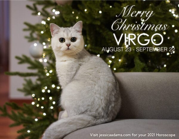 Virgo Christmas 2020 Cat Animal Astrology Cards 600x464 - Animal Astrology Christmas eCards