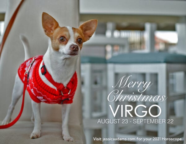 Virgo Christmas 2020 Dog Animal Astrology Cards 600x464 - Animal Astrology Christmas eCards