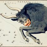 TAURUS RAWPIXEL 150x150 - The Astrology Blog