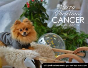 Cancer Christmas gen Dog Animal Astrology Cards 600x464 1 300x232 - Your Christmas and New Year Weekly Horoscope - December 18th, 2023, to January 7th, 2024