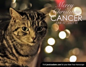 Cancer Christmas generic Cat Animal Astrology Cards 600x464 1 300x232 - Your Christmas and New Year Weekly Horoscope - December 18th, 2023, to January 7th, 2024